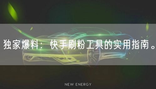 独家爆料:快手刷粉工具的实用指南。