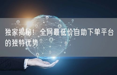 独家揭秘!全网最低价自助下单平台的独特优势