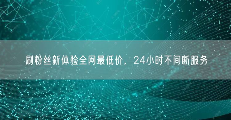 刷粉丝新体验全网最低价,24小时不间断服务
