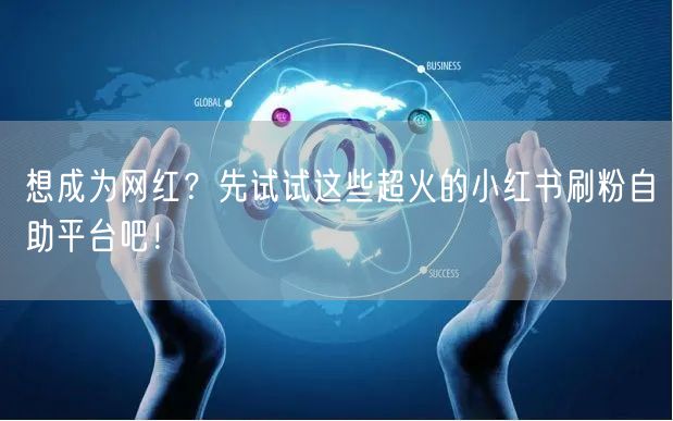 想成为网红?先试试这些超火的小红书刷粉自助平台吧!