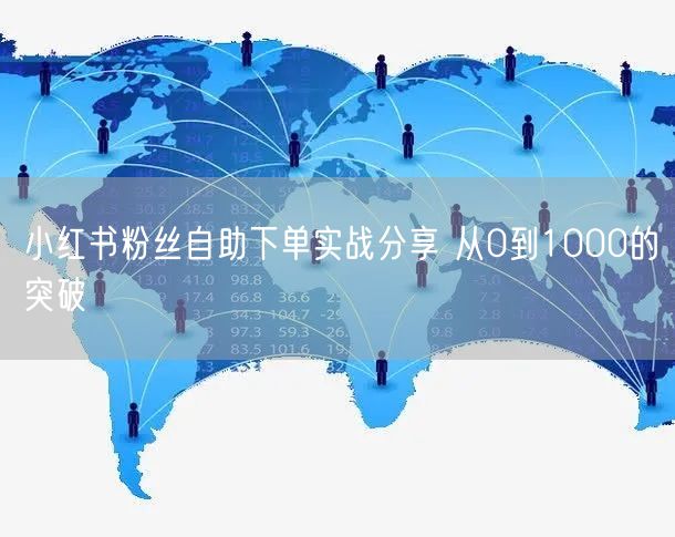 小红书粉丝自助下单实战分享 从0到1000的突破