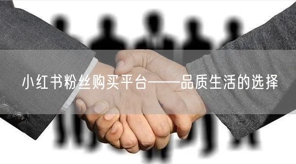 小红书粉丝购买平台——品质生活的选择